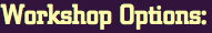 Workshop Options